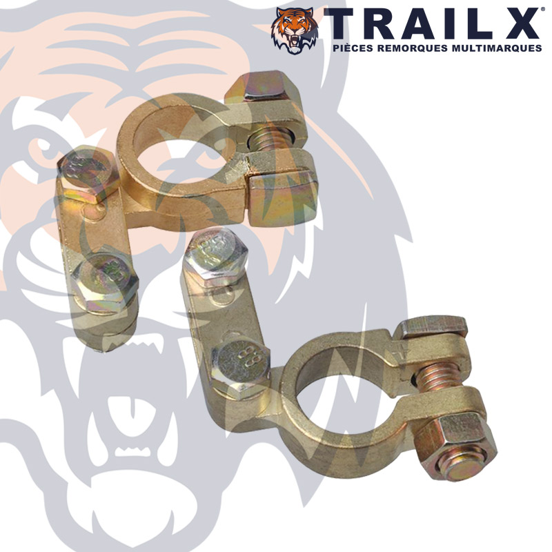 PAIRE COSSES BATTERIE