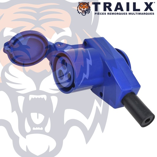 [EL406] PRISE DE REPIQUAGE SECTEUR F &amp; CE17 F