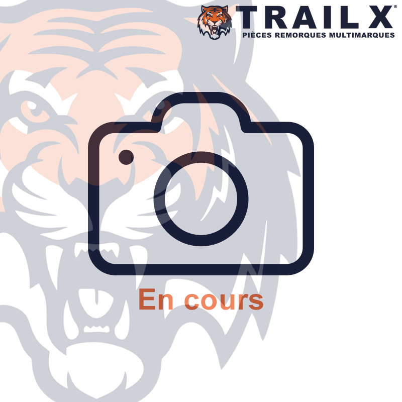 CHAPE D'ARTICULATION - M10