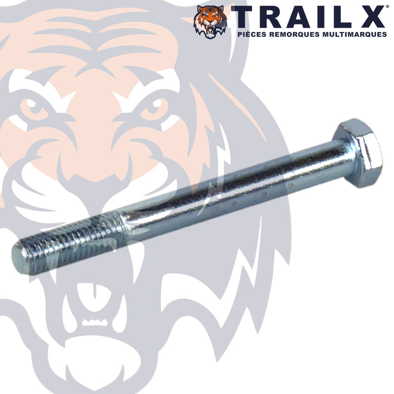 VIS TET HEX 8.8Z PAR - 12X100/30