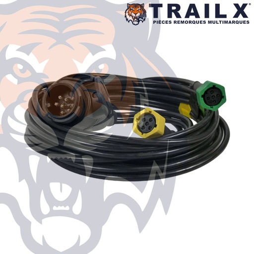 [LG812-09] FAISCEAU BAY RONDES 5B + P13B - 9M